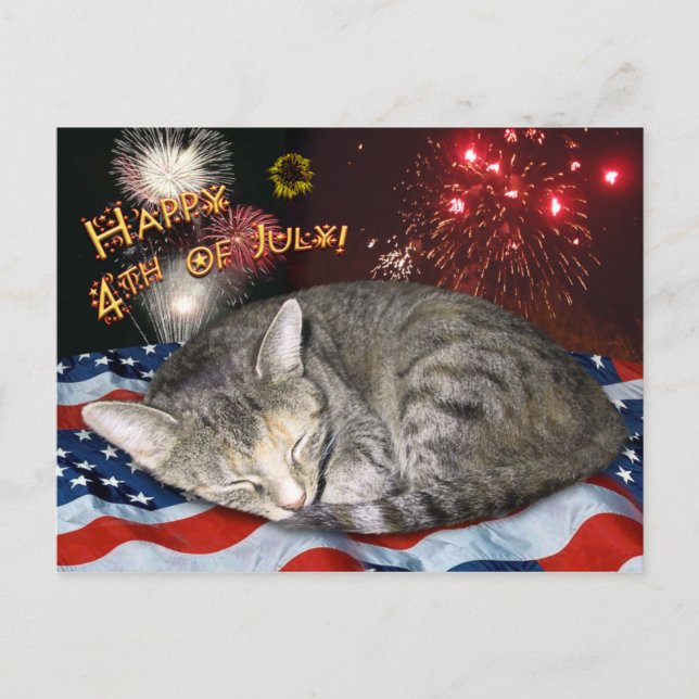 4th of July Cat and Fireworks Postcard (Front)