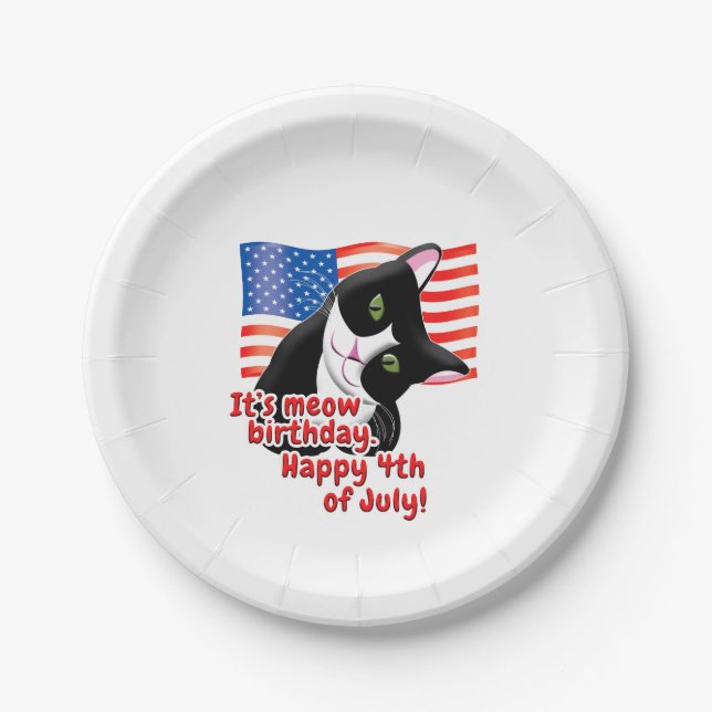 4th of July Cat Paper Plates (Front)