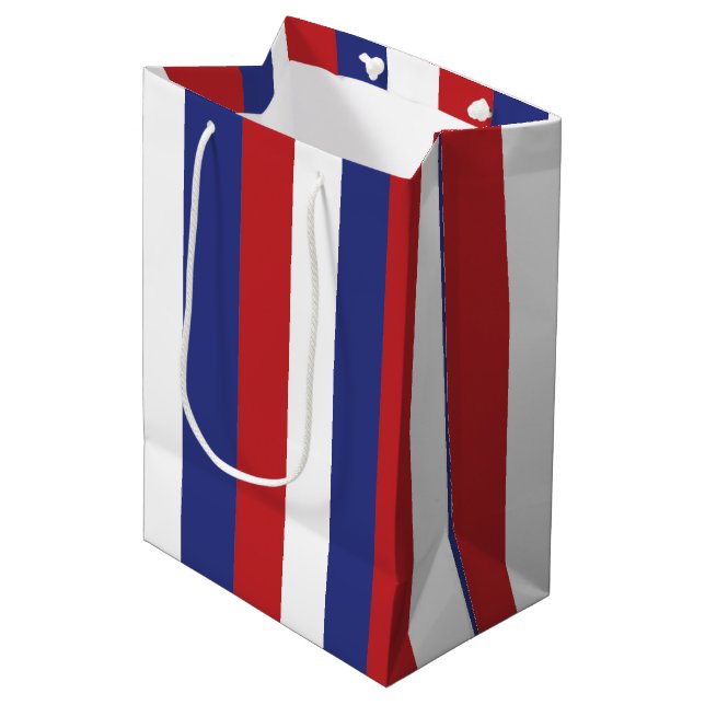 4Th Of July Celebration  Medium Gift Bag (Front Angled)