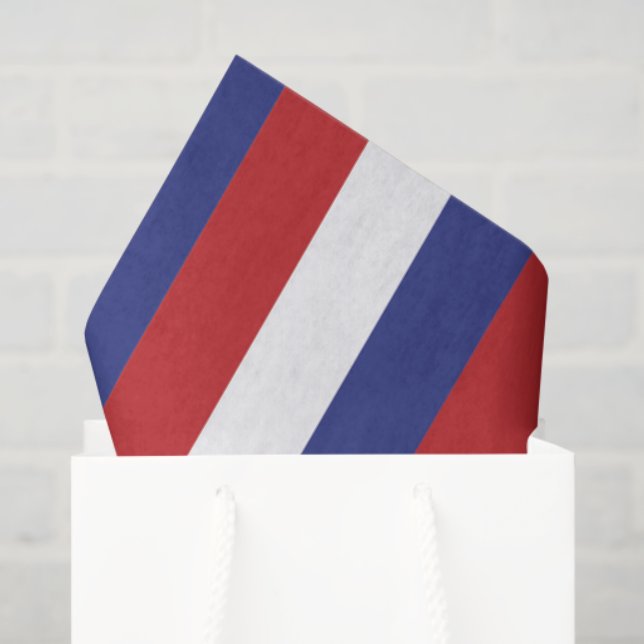 4Th Of July Celebration  Tissue Paper (Gift Bag)