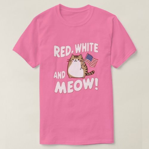 4th of July cute cat holding usa flag T_Shirt