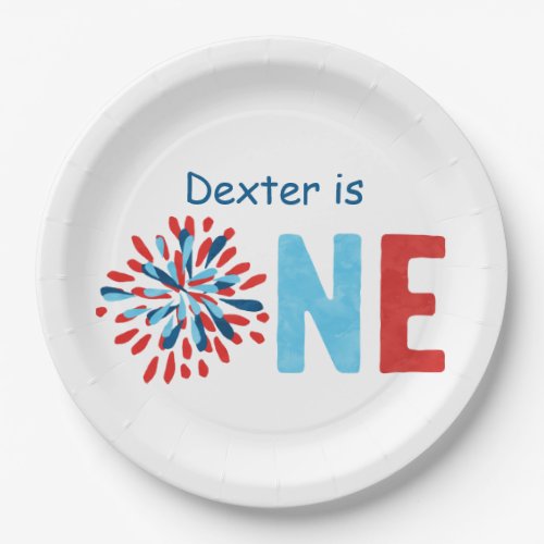 4th of July First Birthday  Paper Plates