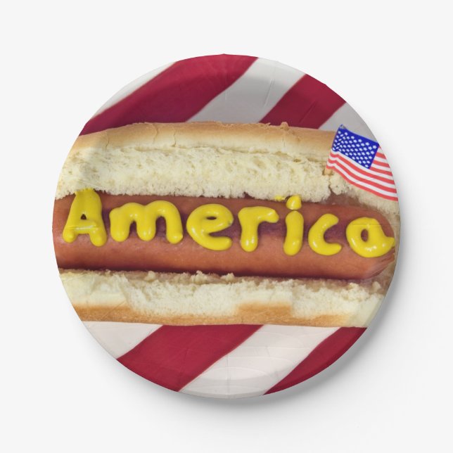 4th of July Hot Dog Party Paper Plates (Front)