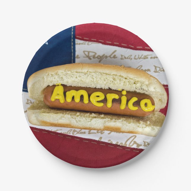 4th of July Hot Dog Party Paper Plates (Front)