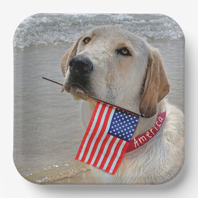 4th of July Labrador Retriever with Flag  Paper Plates (Front)