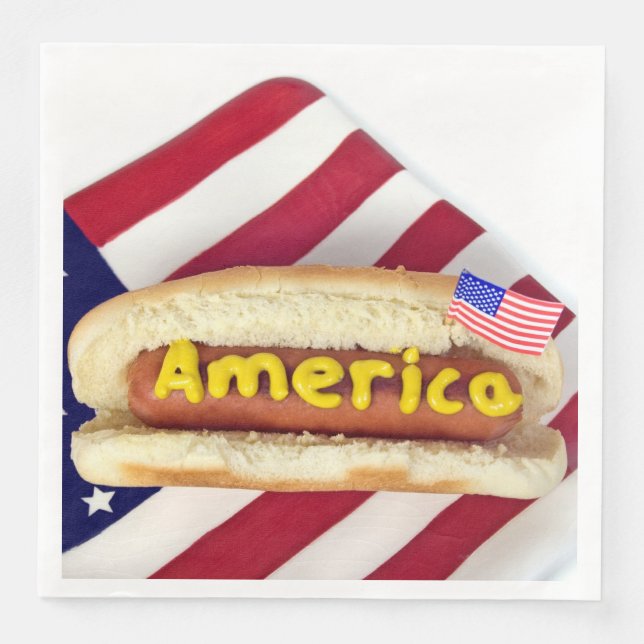 4th of July party hot dog Paper Dinner Napkins (Front)