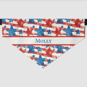4th of July - Patriotic “Happy Hour” Pet Bandana Collar