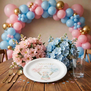 4th of July Pink or Blue Gender Reveal Paper Plates