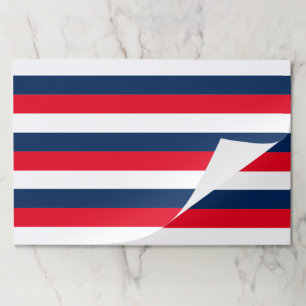 4th of July red white blue stripes paper placemats