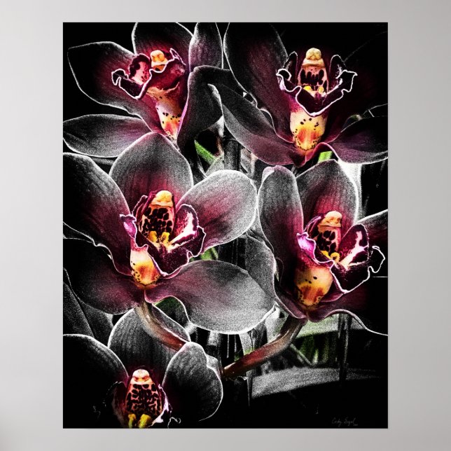 4x5 Ratio Black Orchid Print Img5459 (Front)