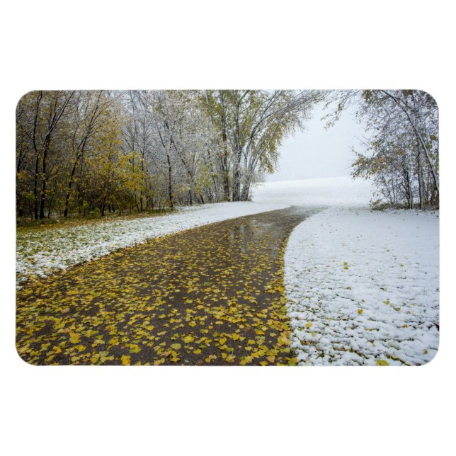 4x6 Flat Magnet (Horizontal)