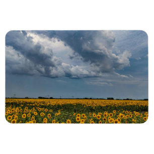 4x6 Flat Magnet