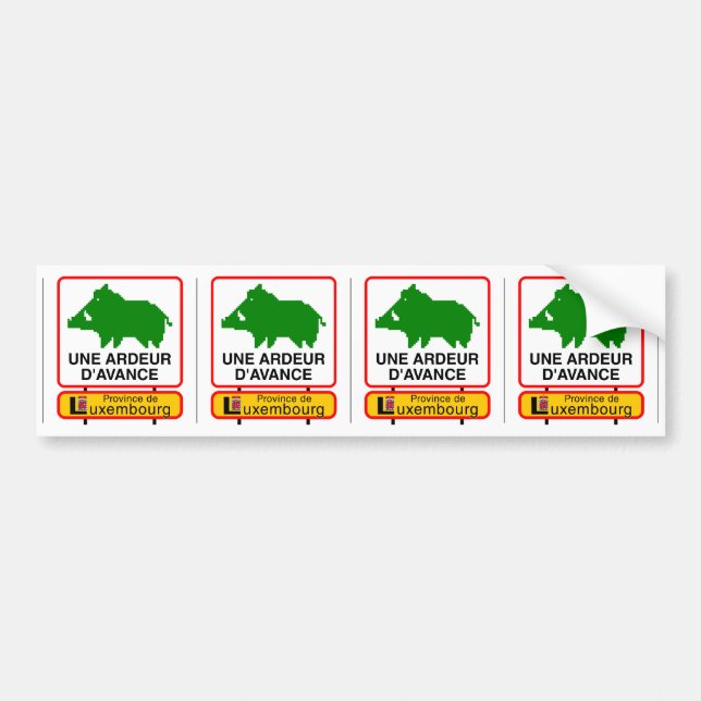4x Small STICKER CAR - ADVANCED STYLE (Front)