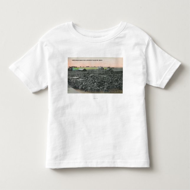 5000 Sheep Ready for ShippingChester, MT Toddler T-shirt (Front)