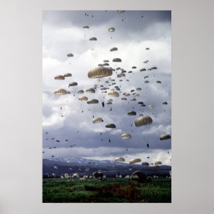 501st Para Infantry Poster