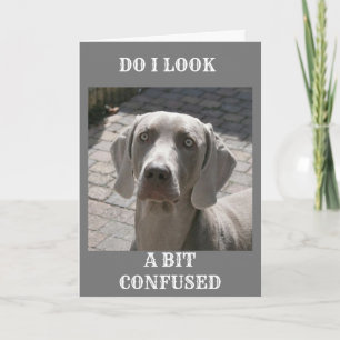 "50" HOW CAN IT BE SAYS WEIMARANER CARD