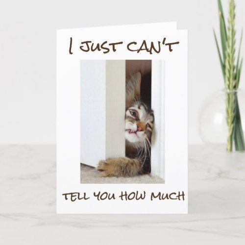 50th BIRTHDAY CAT JUST CANT WAIT TO TEASE YOU Card