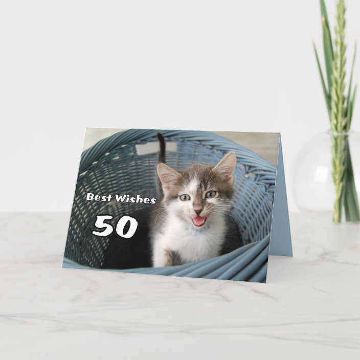50th Birthday Crazy Kitten Card | Zazzle.com