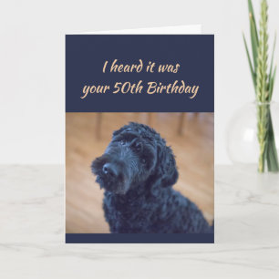 50th Birthday Fun Cute Black Curly Dog Pet Card