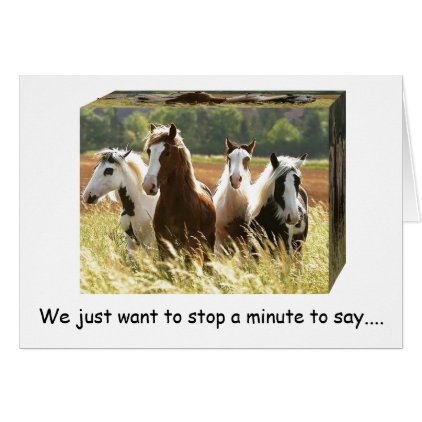 **50th BIRTHDAY** FUN TIME HORSES HAVE A HAY WISH Card