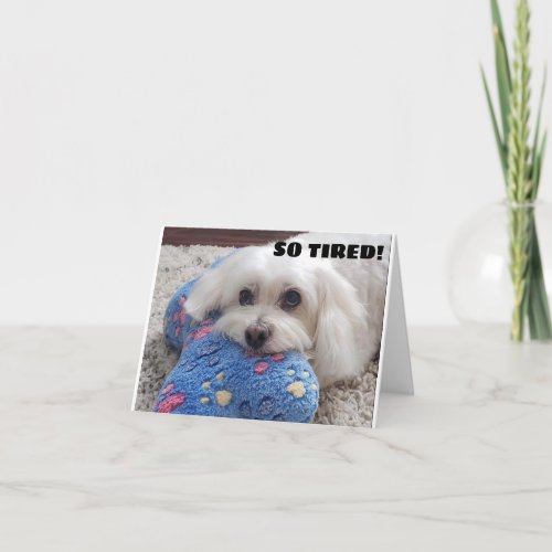 50th BIRTHDAY HA HA HA FUNNY DOG HUMOR Card