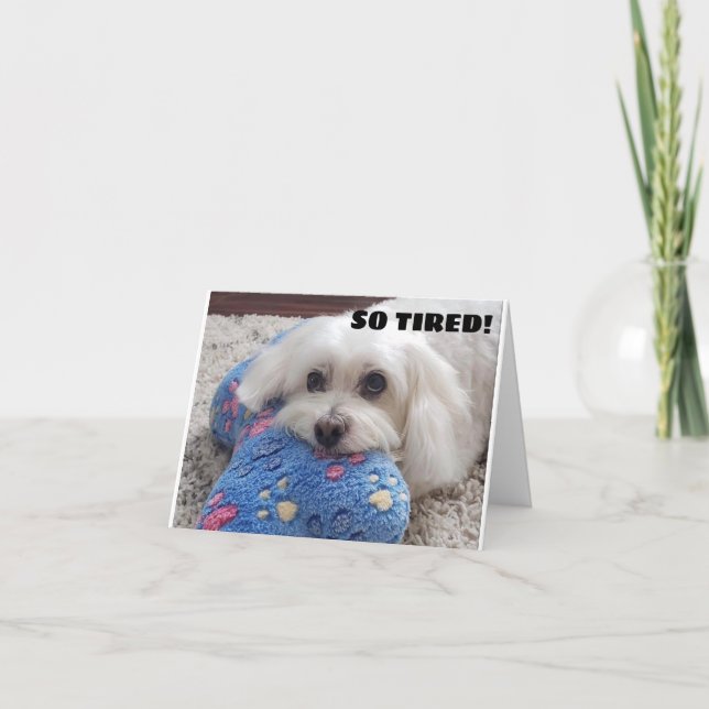 *50th BIRTHDAY* HA HA HA (FUNNY DOG HUMOR) Card (Front)