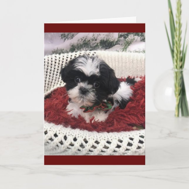  "50th BIRTHDAY" HUMOR FROM CUTEST PUPPY EVER Card (Front)