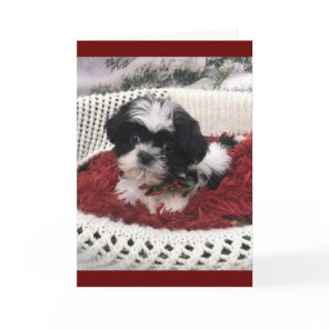 "50th BIRTHDAY" HUMOR FROM CUTEST PUPPY EVER Card