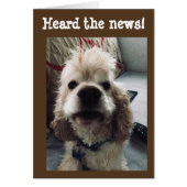 **50th BIRTHDAY** HUMOR FROM PUP (Front)