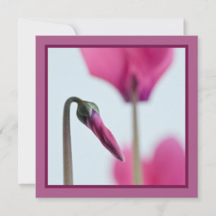 50th Birthday Pink Flower Invitation