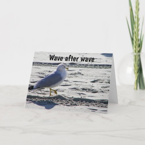 50th BIRTHDAY SEAGULL HUMOR Card