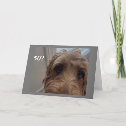 50th BIRTHDAY SHOCKED DOG SAYS HAPPY BIRTHDA Card