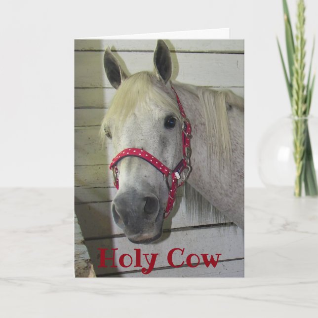 ***50th*** HOLY COW YOUNG FILLY HAPPY BIRTHDAY Card (Front)