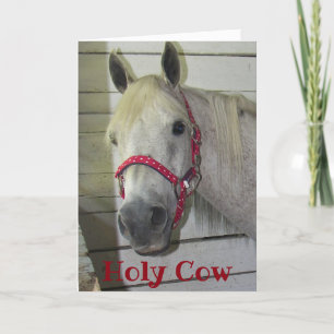 ***50th*** HOLY COW YOUNG FILLY HAPPY BIRTHDAY Card