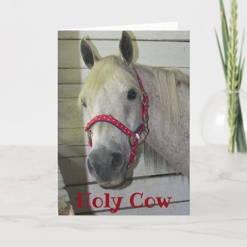 50th HOLY COW YOUNG FILLY HAPPY BIRTHDAY Card