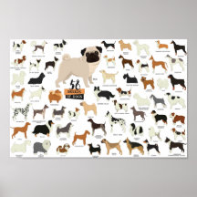 52 Breeds Of Dogs Poster