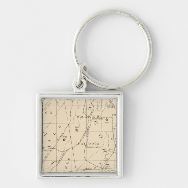 52 Center Negro population 1880-1900 Keychain (Front)
