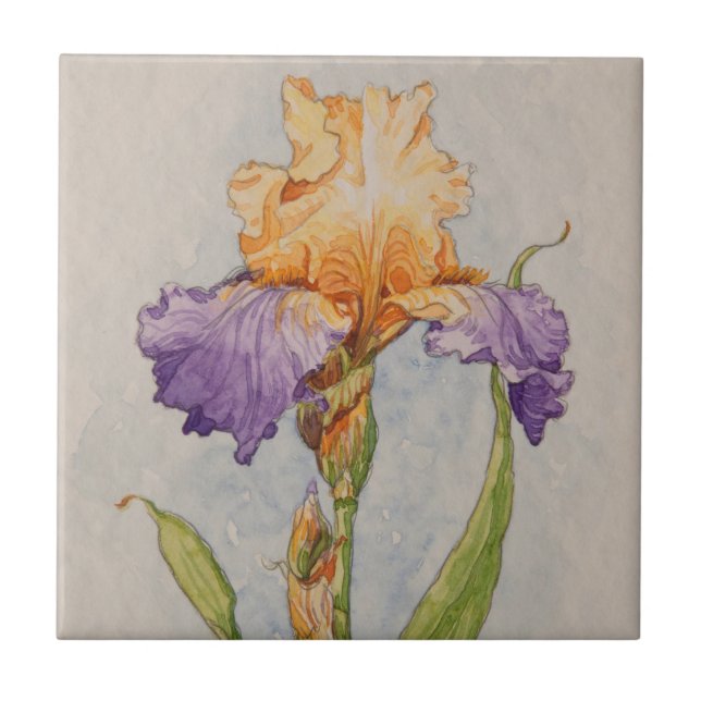 5310 Purple and Gold Iris Ceramic Tile (Front)