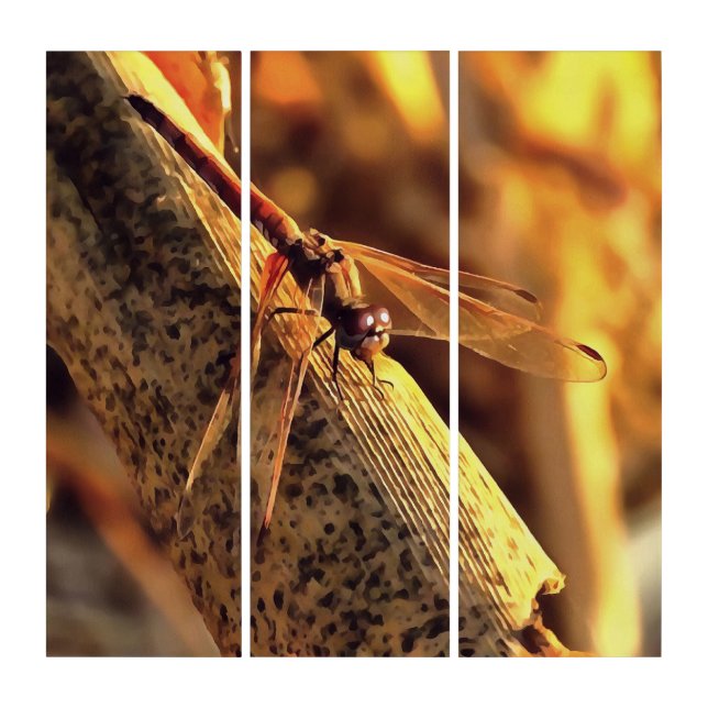 534424932Elegant Red Darter Dragonfly Insect Art (Front)