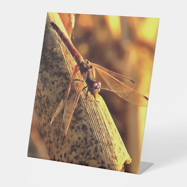 534424932Elegant Red Darter Dragonfly Insect Art Pedestal Sign (Front)