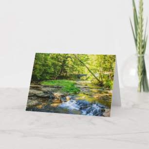 5478-2-Wolf Creek Card