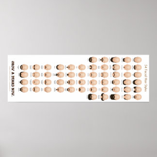 54 Facial Hair Styles Poster