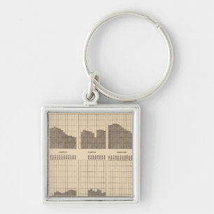 54 White, Negro population, states, ea census Keychain