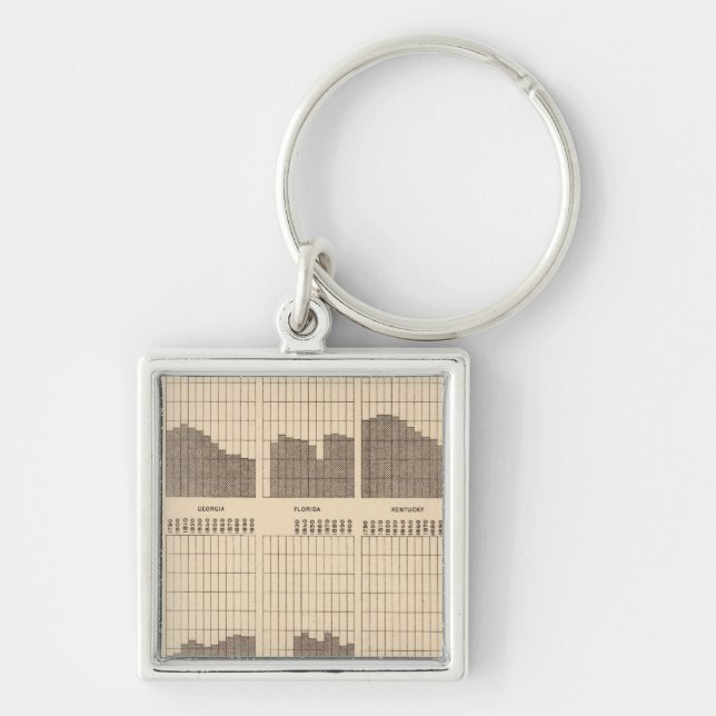 54 White, Negro population, states, ea census Keychain (Front)