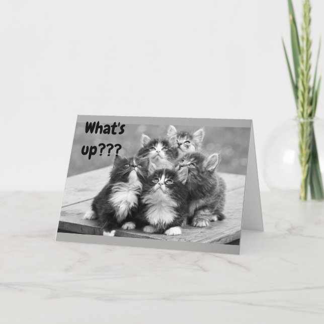 *55th BIRTHDAY WISHES* WHAT'S UP? YOUR AGE! Card (Front)