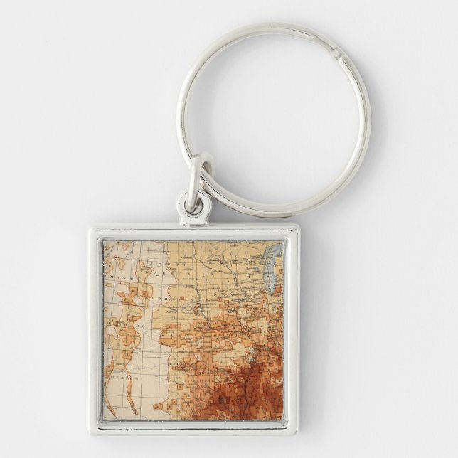 56 Proportion Negro population Keychain (Front)