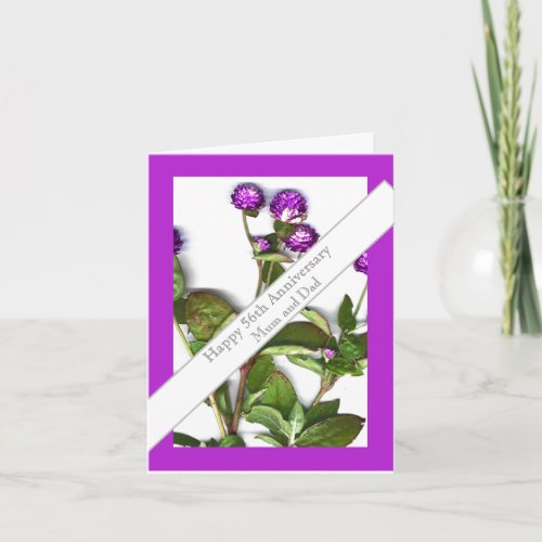 56th Wedding Anniversary Globe Amaranth  