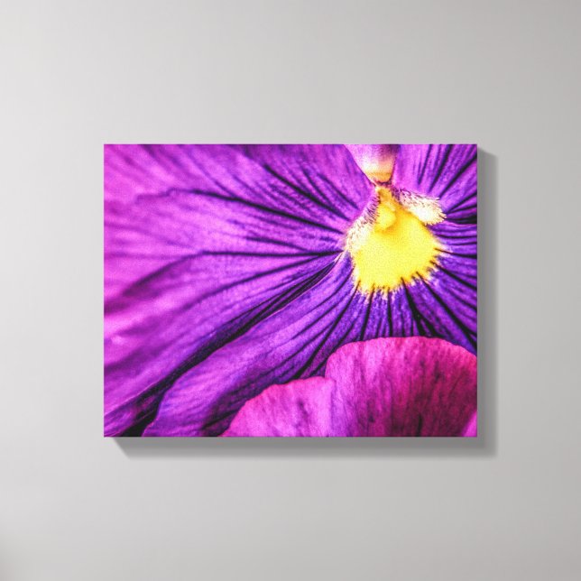 5884-Purple Pansy Canvas Print (Front)