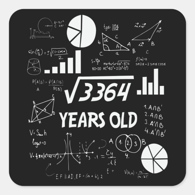 58 Year Old Bday Math Teacher 58th Birthday Gift Square Sticker (Front)