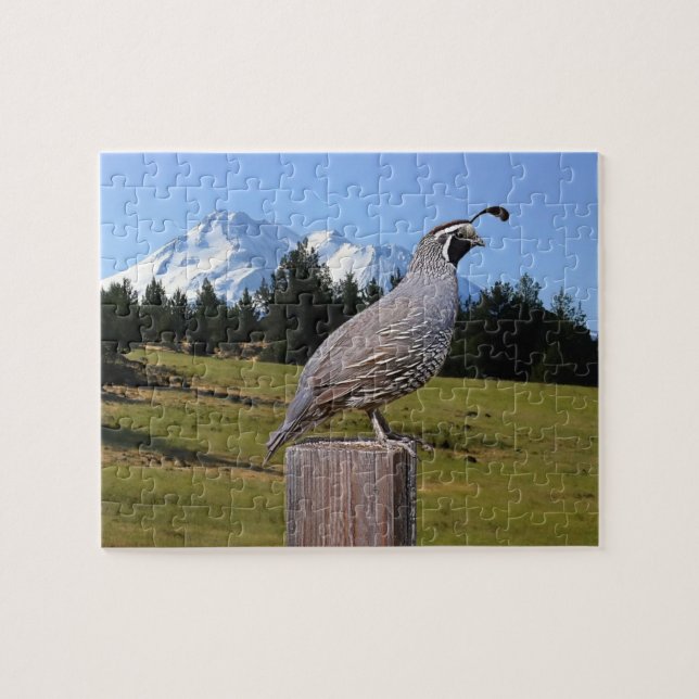 59 QUAIL ON DREAM POINT JIGSAW PUZZLE (Horizontal)